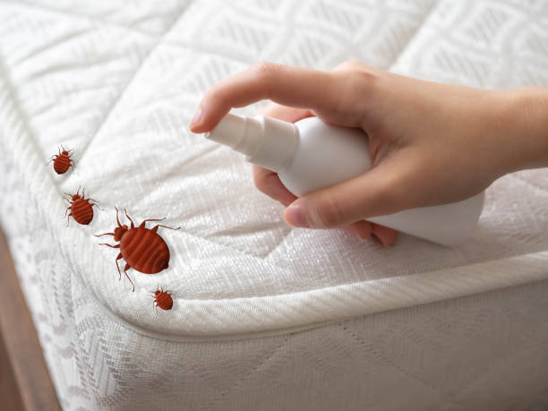 Best Residential Pest Control  in Augusta, WI